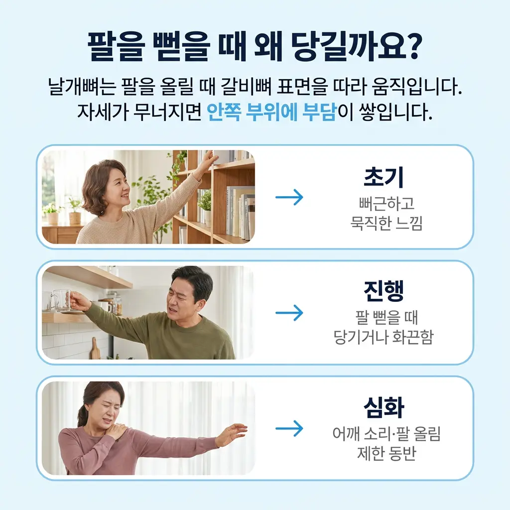 팔을 뻗을 때 날개뼈와 주변 근육에 생길 수 있는 부담