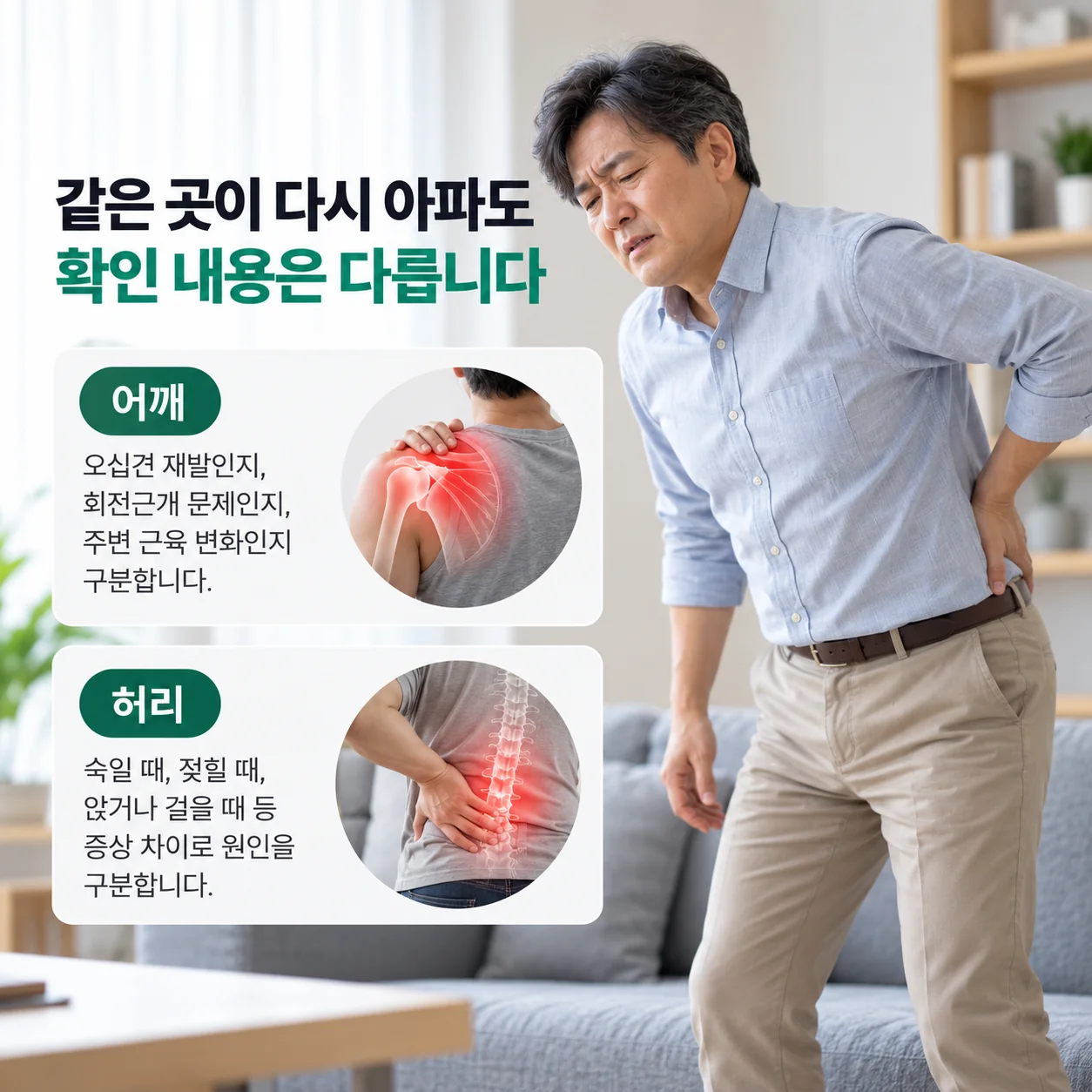 같은 어깨·허리 통증이라도 다시 아플 때 확인할 내용의 차이